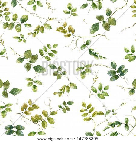 Watercolor illustration of leaf seamless pattern on white background