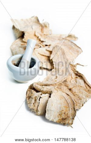 Pueraria Mirifica, White Kwao Krua, Pueraria Candollei Graham Ex Benth. Var Mirifica Isolated On Whi
