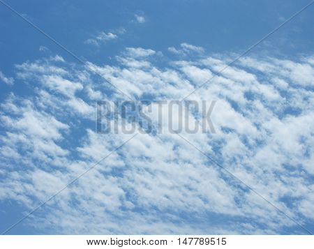 White clouds on blue sky. The clouds in the sky. Sky with clouds. Clouds background. Sky background. Nature.