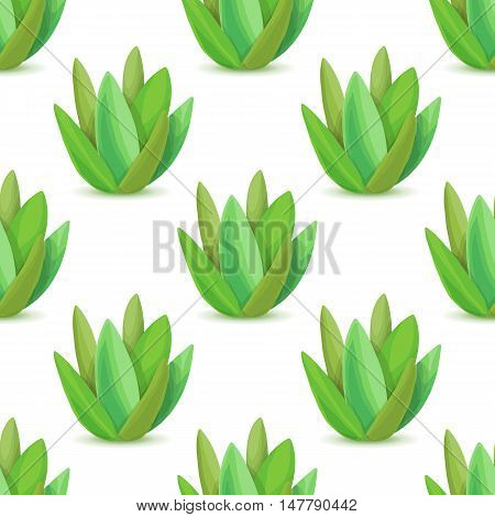 Agave - seamless pattern with desert plants. Nature floral background with green succulent leaf. Wallpaper with plantation of aloe. Vector illustration