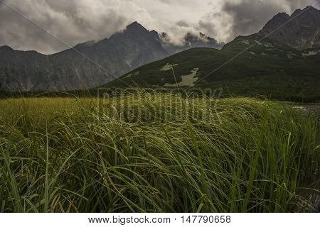 Beautiful landscape in the Tatra Mountains. Slovakia.