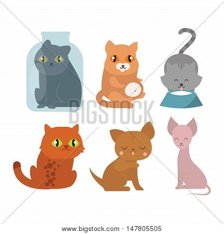 Cats collection vector silhouette. Cute domestic cats different animals. Different cats young adorable tail symbol playful paw. Cartoon funny standing drawing domestic pussy characters set.