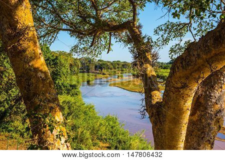 Skukuza Camping is located in a picturesque valley. Sunny day in the Kruger National Park, South Africa