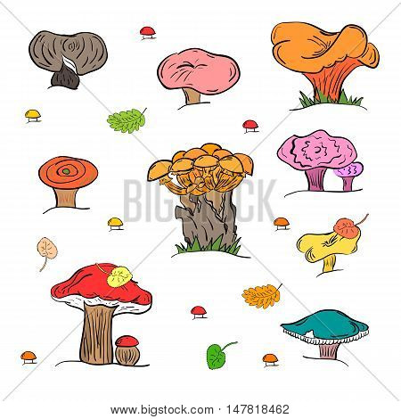 Set of Hand Drawn Painted Mushrooms  Isolated on White. Autumn Falling Leaves. Doodle Style. Vector Illustration.