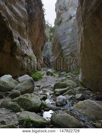 Avakas Gorge West side of Akamas Peninsula Cyprus