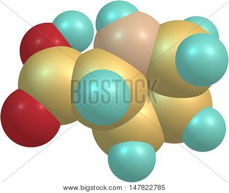 Proline is an alpha-amino acid that is used in the biosynthesis of proteins. 3d illustration