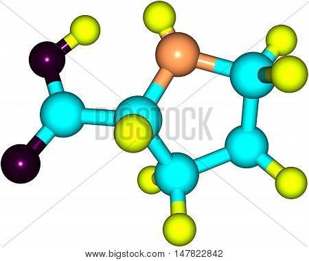 Proline is an alpha-amino acid that is used in the biosynthesis of proteins. 3d illustration