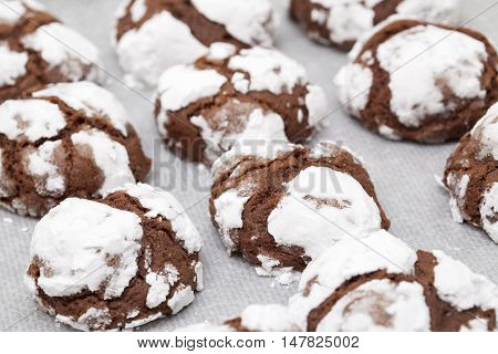 Making Chocolate Cookies