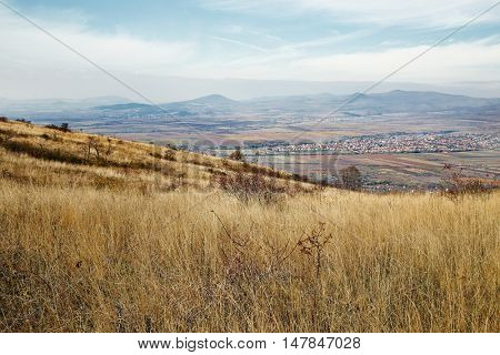 Meadow with tall dryed out grass in the autumn