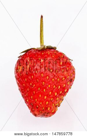 The Close up  Strawberries beautiful on white background.