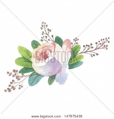 Wildflower rose flower in a watercolor style isolated. Full name of the herb: rose, Hulthemia, Hesperrhodos, Rosa. Aquarelle flower could be used for background, texture, pattern, frame or border.