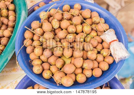 Ceylon oak for sale at local Thai market Northeast of Thailand