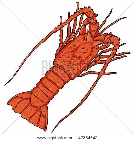 Vector Cartoon Lobster