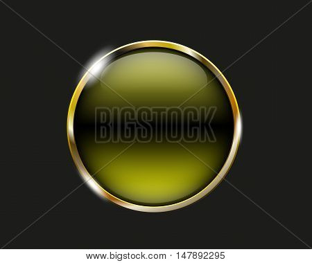 Citric Shiny Button With Metallic Elements, Vector Design For Website