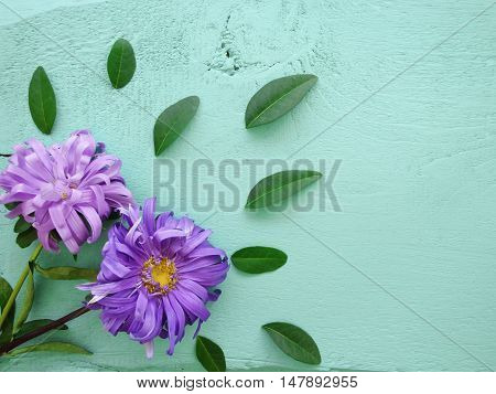 Bright colors. On wooden background. There is a place for text