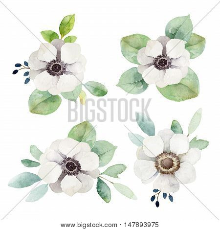 Set boutonnieres with anemones and eucalyptus leaves isolated on white background. Watercolor illustration