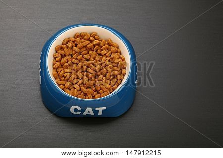 Dry Cat Food In Ceramic Bowl On Black Floor
