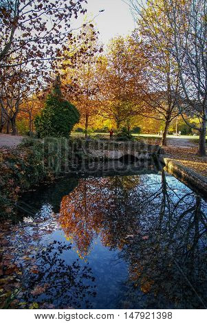 Autumn Landscape With Colorful Leaves, River And Reflections In Water