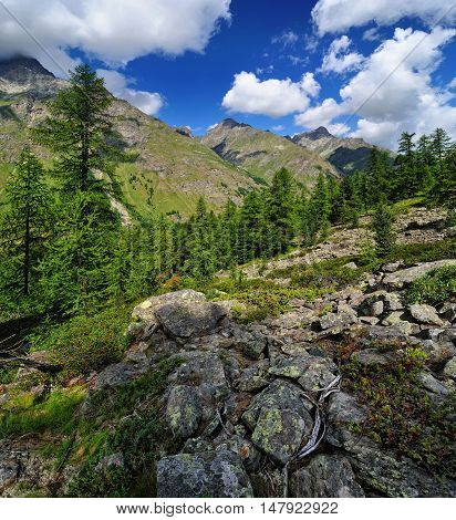 Stones with moss and view on alpien mountains of Valle Aosta
