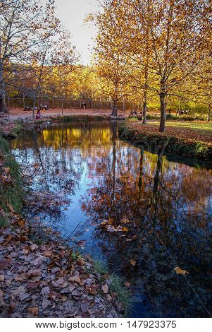 Autumn Landscape With Colorful Leaves, River And Reflections In Water