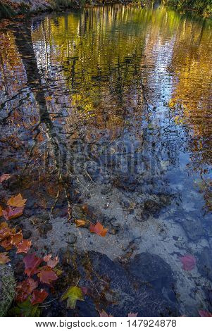 Autumn Landscape With Colorful Leaves, River And Reflections In Water