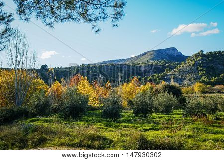 Autumn Landscape   In Caravaca De La Crus, Spain
