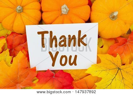 Thank You Message Some fall leaves and pumpkins with text Thank You on a greeting card
