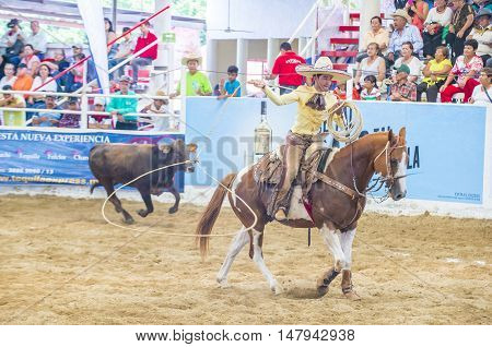 GUADALAJARA MEXICO - SEP 01 : Charras participate at the 23rd International Mariachi & Charros festival in Guadalajara Mexico on September 01 2016.