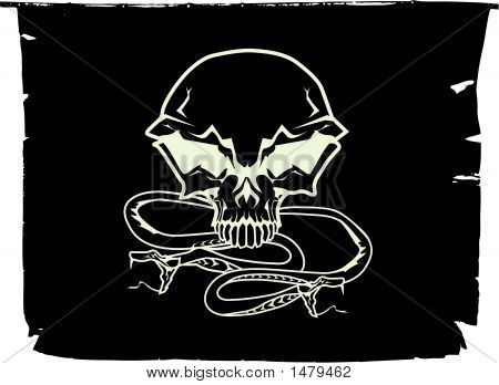 กะโหลกศีรษะมนุษย์ที่สุกใส