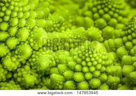 Romanesco broccoli (Brassica oleracea) fractals close-up background