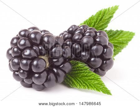 blackberry with leaf isolated on a white background closeup.