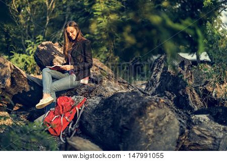 Leisure Relax Summer Tourism Carefree Travel Concept