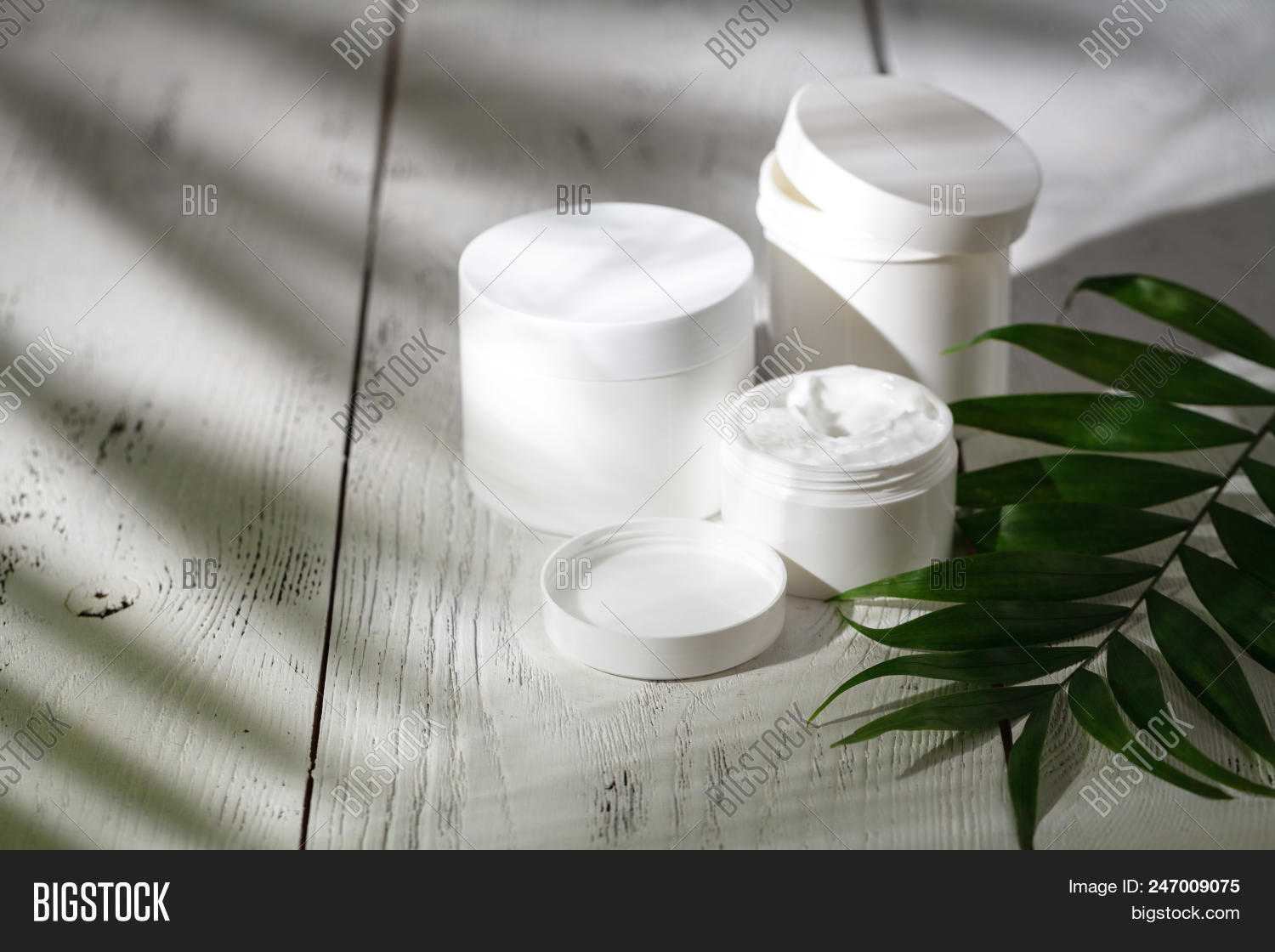 Delicate Natural Image & Photo (Free Trial) | Bigstock