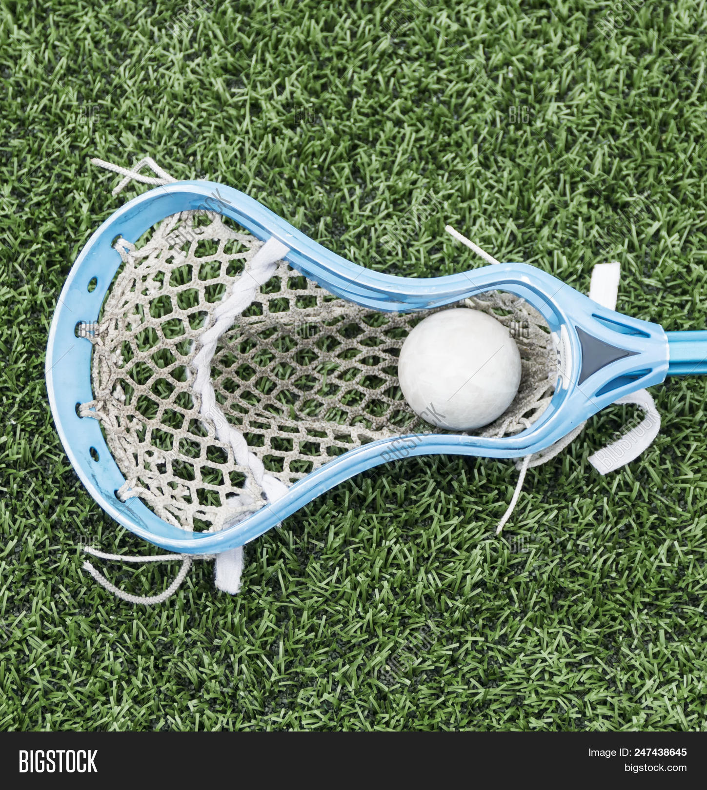 Lacrosse Stick Ball Image & Photo (Free Trial) Bigstock