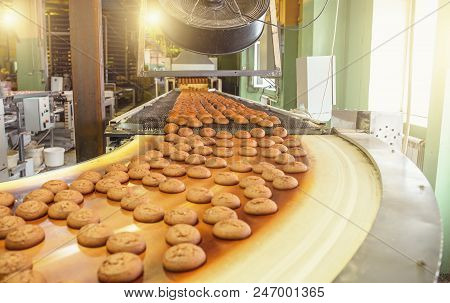 Cakes On Automatic Conveyor Belt Or Line, Process Of Baking In Confectionery Culinary Factory Or Pla