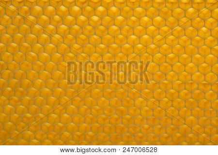 beecomb texture close up - the detail