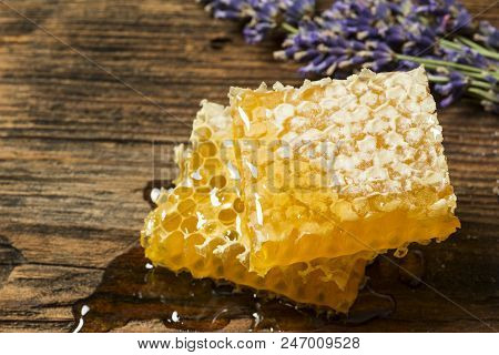 Honeycomb With Uncapping Fork - Honey Harvest