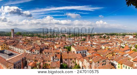Panoramic aerial view of Lucca old town with terracotta roof buildings and medieval towers, Tuscany, Italy