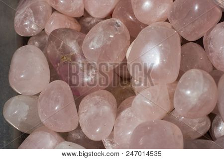 Tumbled Rose Quartz Gem Stone As Mineral Rock Specimen