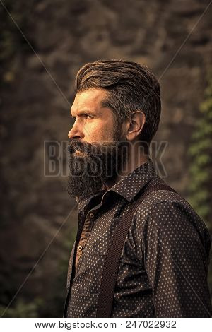 Elegant Bearded Man. Closeup Side View Of One Handsome Senior Man With Black Hair And Long Lush Bear