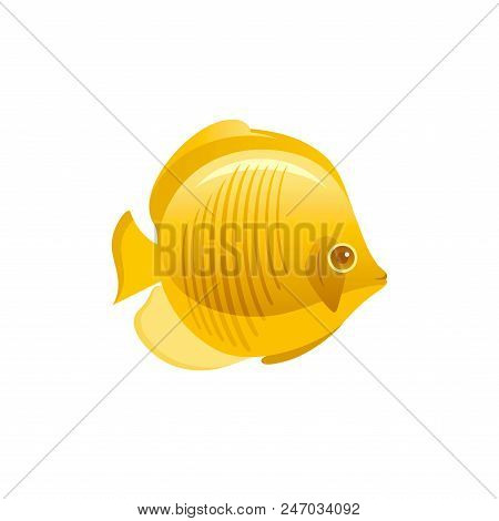 Vector Illustration Eps10, Isolated On White Background. Realistic Sea Animal Symbol, 3d Butterfly F