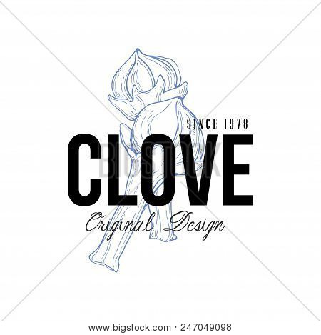 Clove Logo Original Design Since 1978, Aromatic Culinary Spice Emblem Vector Illustration Isolated O