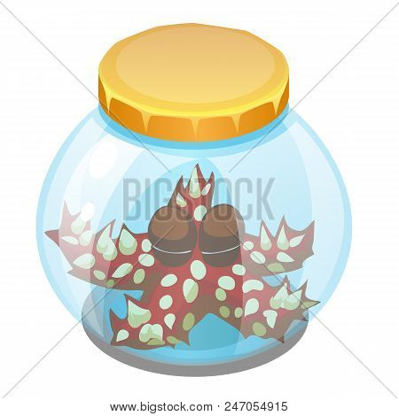 Cartoon Starfish Sleeping In A Glass Jar Isolated On White Background. Vector Cartoon.