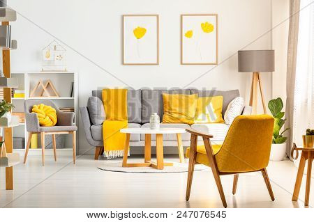 Yellow Armchair In White Living Room Interior With Posters Above Grey Sofa With Pillows. Real Photo