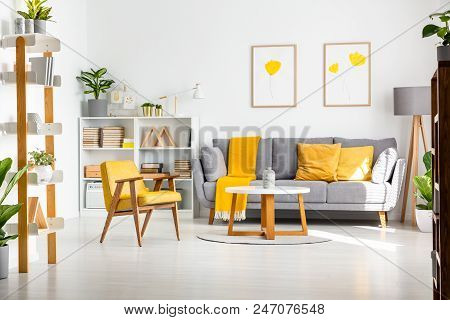 Real Photo Of A Scandi Living Room Interior With Gray And Yellow Furniture, White Walls, Flower Post