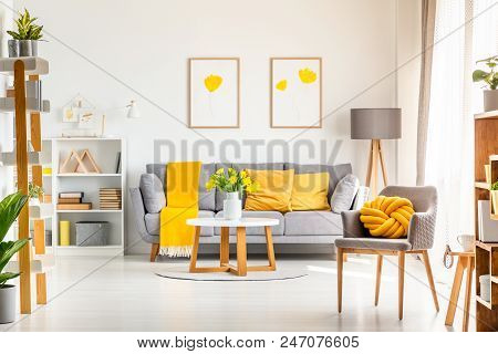 Yellow Knot Pillow On Grey Armchair In Modern Living Room Interior With Posters Above Couch. Real Ph