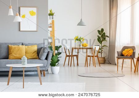Open Space Living And Dining Room Interior With Gray Sofa, Wooden Tables, White Chairs And Plants. R