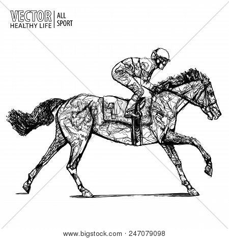 Jockey On Horse. Champion. Horse Racing. Hippodrome. Racetrack. Jump Racetrack. Horse Riding. Racing