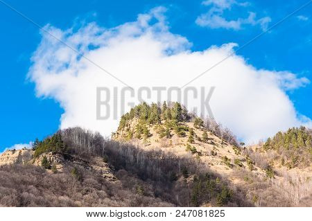 Bare Trees On Mountains In Spring Against Blue Sky
