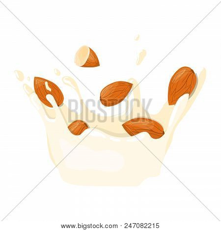 Almond With Milk Splash Vector Icon. Healthy Eating Cartoon Illustration Isolated On White Backgroun